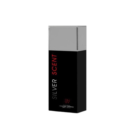 عطر جیبی مردانه ان وی مدل سیلور سنت حجم 30 میلی لیتر