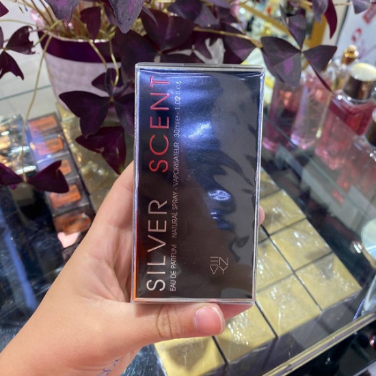 عطر جیبی مردانه ان وی مدل سیلور سنت حجم 30 میلی لیتر